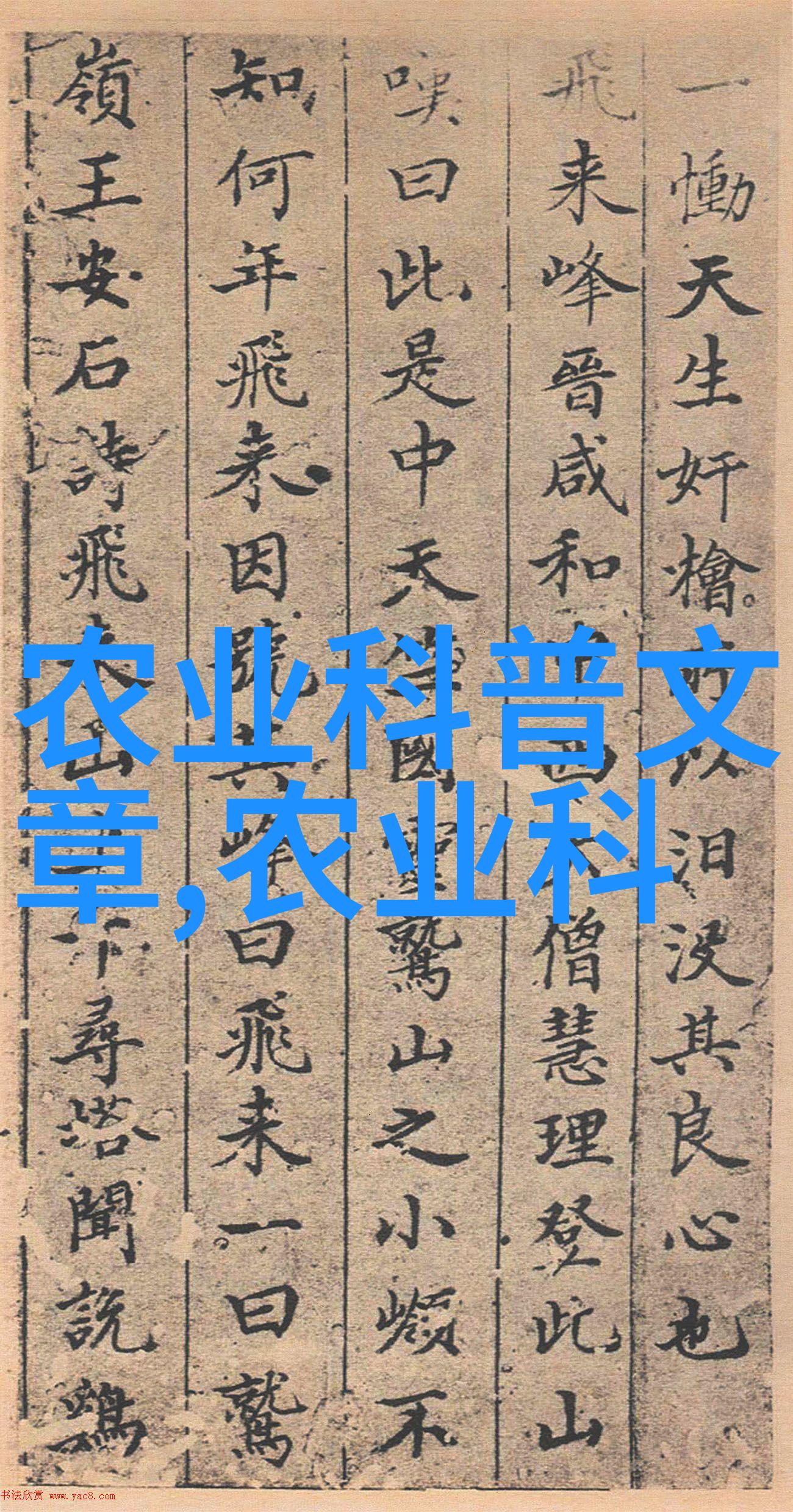田野的劳动之花探索人工手动插秧机的智慧与魅力