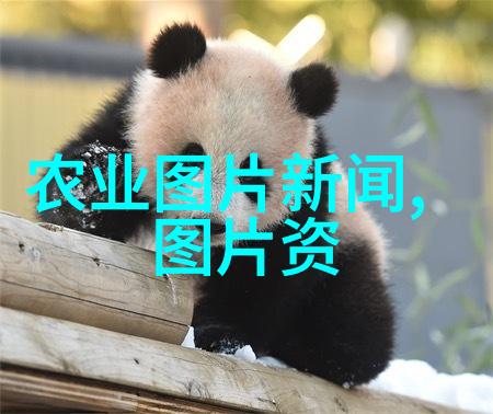 为何在现代家居中加入多种类型的盆植品能够增添更多层次感