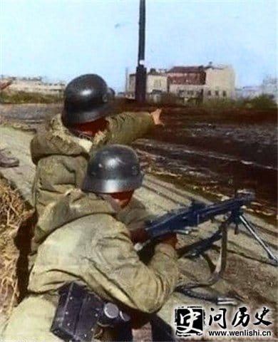 蜈蚣养殖之道揭秘高效的饲料配制与环境管理技巧