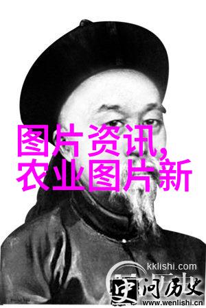 蔬菜之谜无土栽培的秘密花园