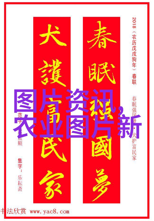 茶文化-品味千古揭秘各种精彩的茶叶品种