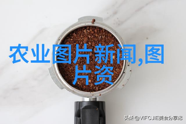 在冬眠季节如何采取措施预防养殖的蜜蜂数量减少或完全消失