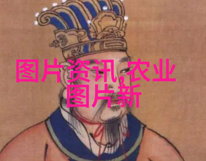 如何评价今日缅甸中文网对环境保护和可持续发展问题的深度探讨