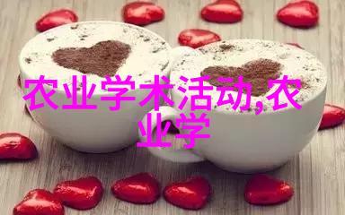 中年求职的挑战与机遇