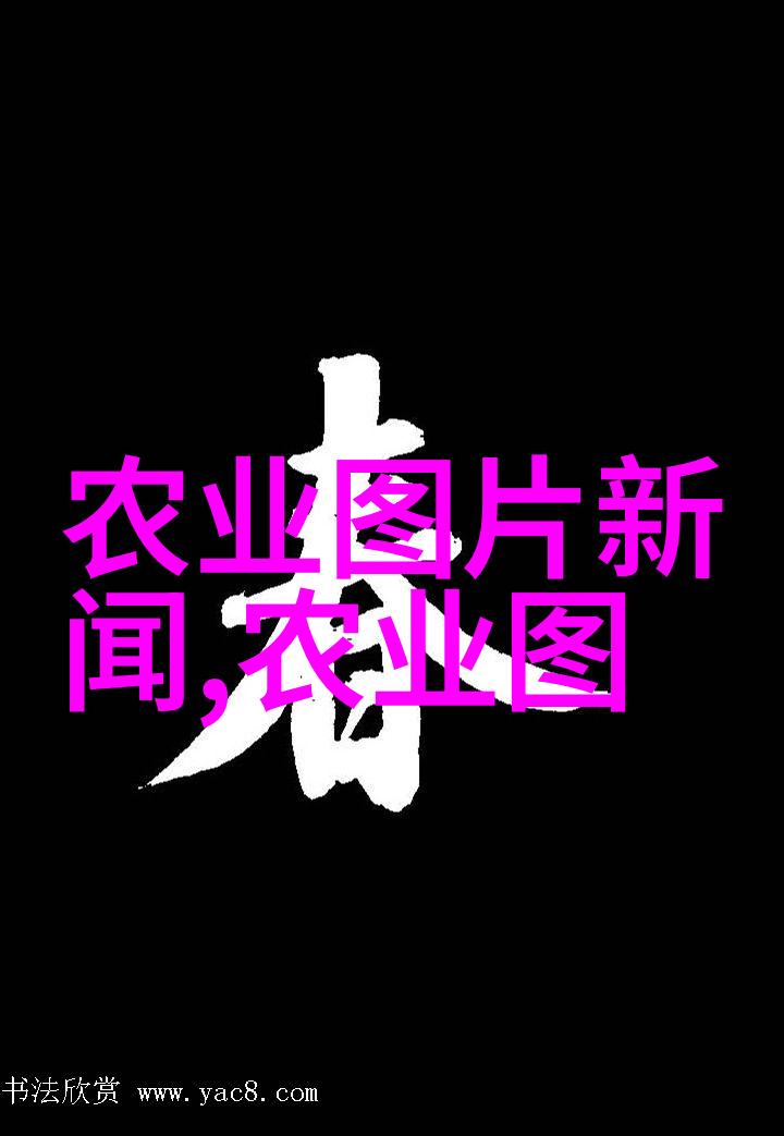 四季养蜂全程视频教程春季蜂巢管理夏季蜜蜡收集秋季蜂群分离冬季蜂房保温