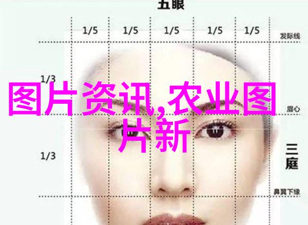 养蜂知识大全从蜂箱管理到蜜蜡提取的全方位指南