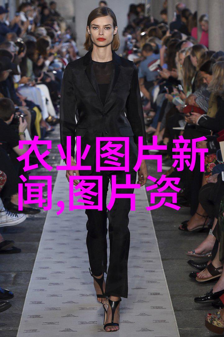从土壤中萌芽的奇迹不同类型的种子及其图像展示