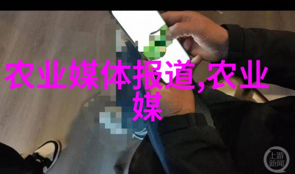 蟹爪兰的养殖方法和注意事项我是如何把蟹爪兰从娃娃抓起到花开盛放的