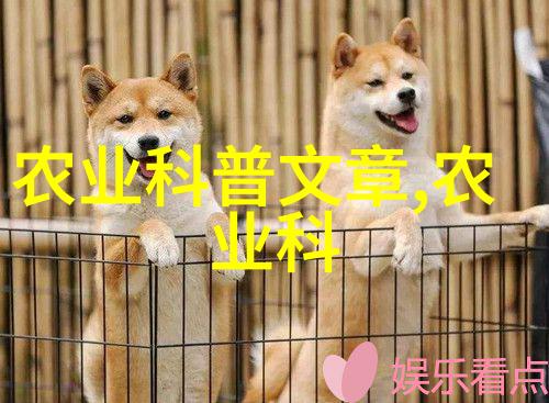 花海的秘密揭开百合的神奇世界