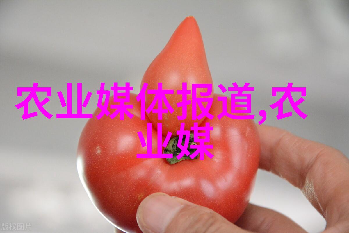 蜜蜂的分裂行为自然界中的社会学研究