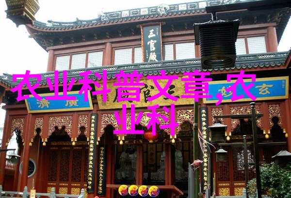 姐姐真漂亮5电视剧- sisters Radiance Unveiling the Beauty o