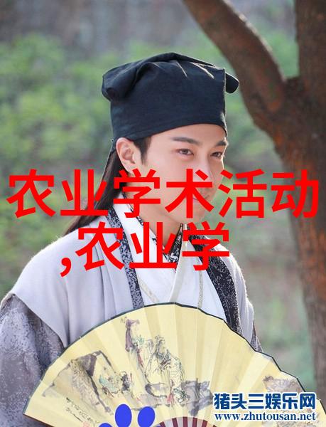 水培蔬菜环保又高效的种植方法