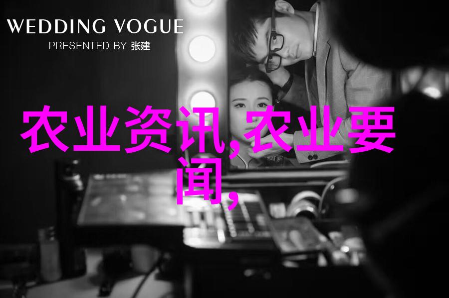 大型养鸡场管理高效的现代养鸡业运营策略