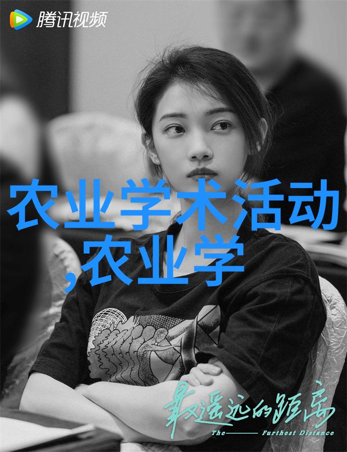 探秘室内植物盆景排行榜它们为什么如此受欢迎