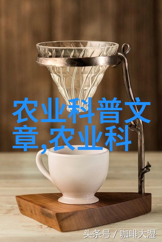 夕阳残照斜阳若影余晖中的遥望与沉思