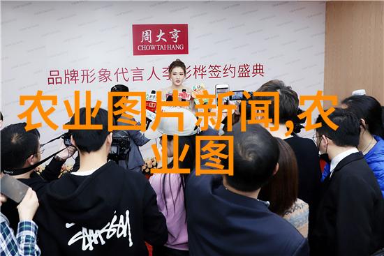 面膜革命揭秘一层薄膜变身美丽新我