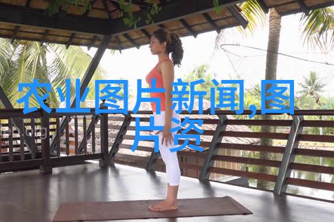 丰收与荒芜农资产品的双面真相