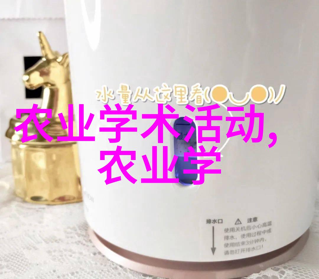 玻璃边界一段不为人知的表演
