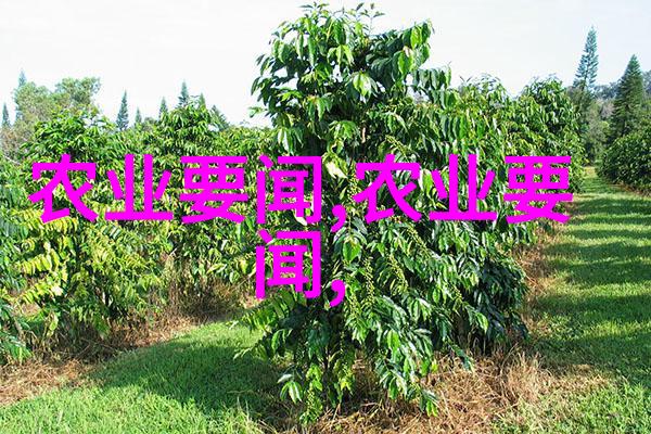 种子世界探索各种花卉和蔬菜的图片与名字