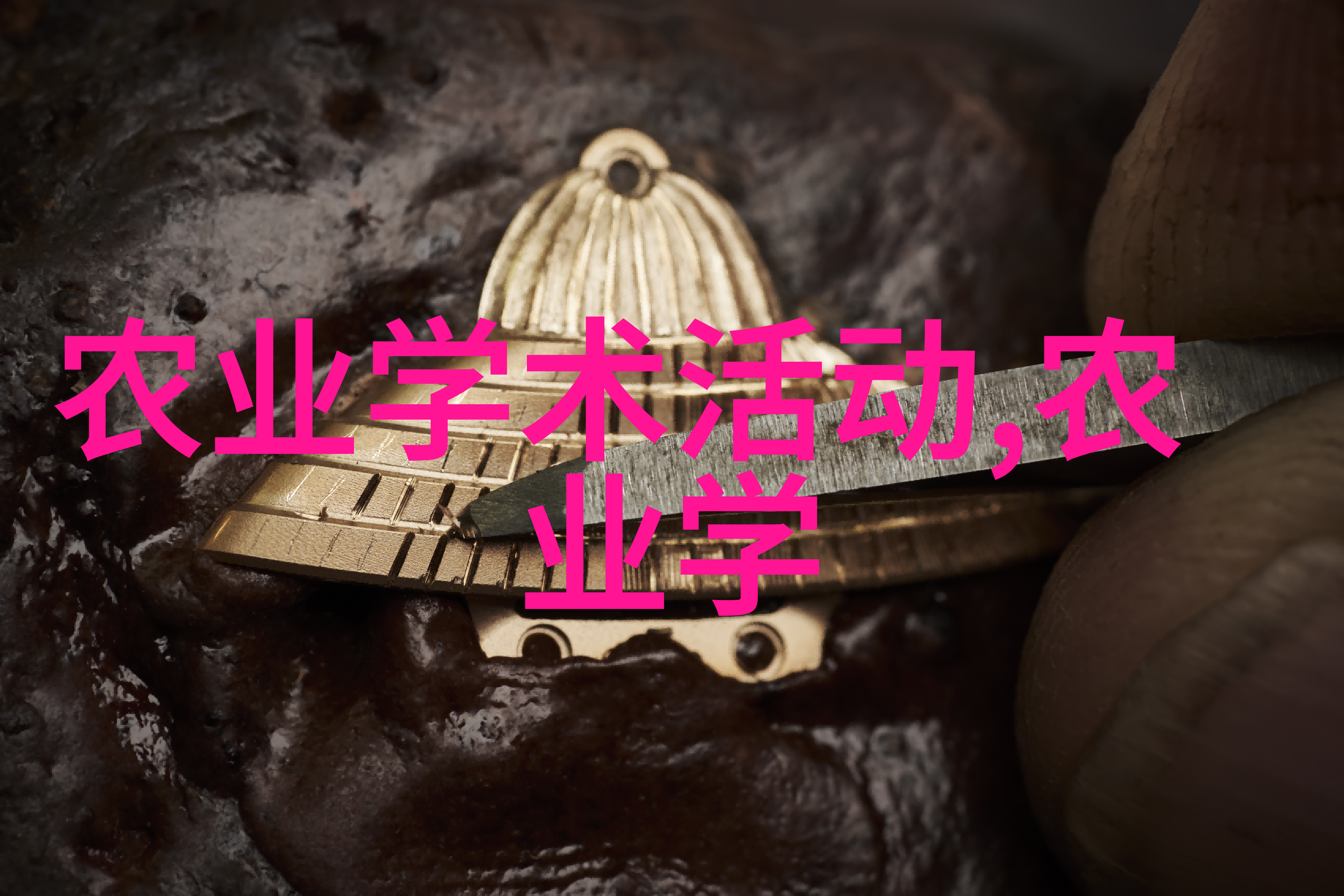 甜蜜的智慧探究蜂蜜蜂养殖技术的精髓