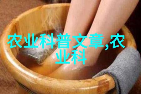 提高养殖效率的现代鸡舍设计与管理策略