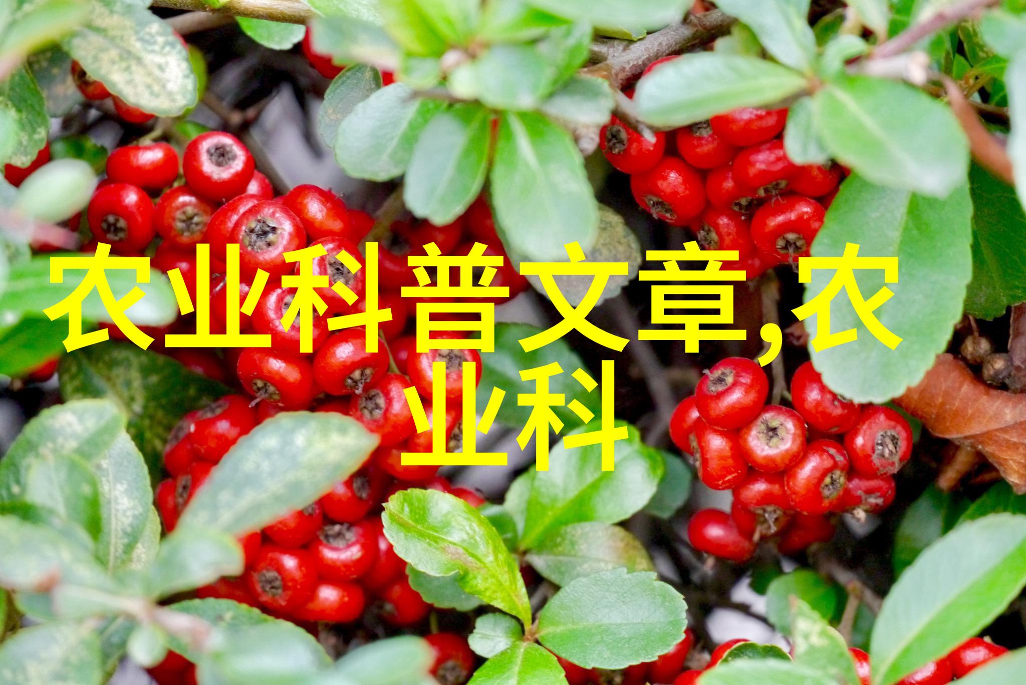 宇宙之光凯森的星际探险