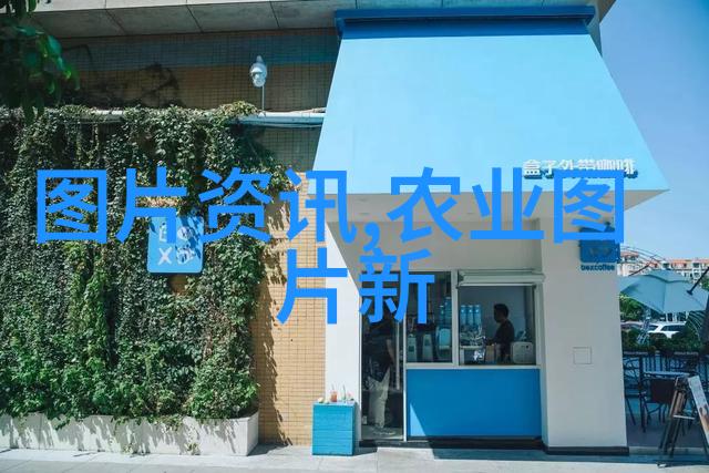 茶树之美解读它在园艺中的定位与魅力