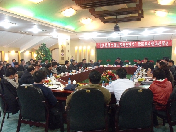 我们应该如何定期检查并修剪枯萎叶片以保持植物整洁