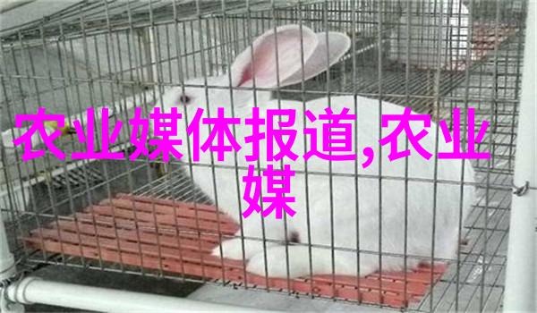 2022年搞养殖业养什么最佳 - 精准投入2022年最适合的养殖项目选择指南