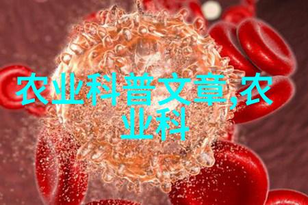 荒凉与繁盛1000种多肉植物的逆袭