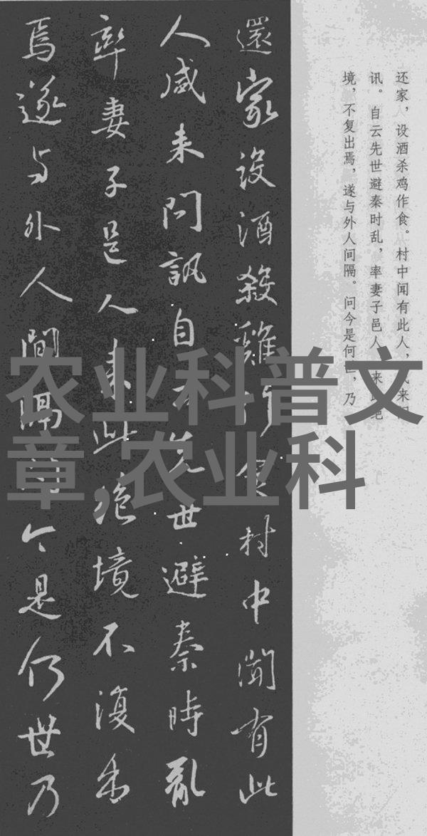 金线莲回收公司我来告诉你一个好消息我们不仅能帮你处理废旧物品还能让它们变得有价值