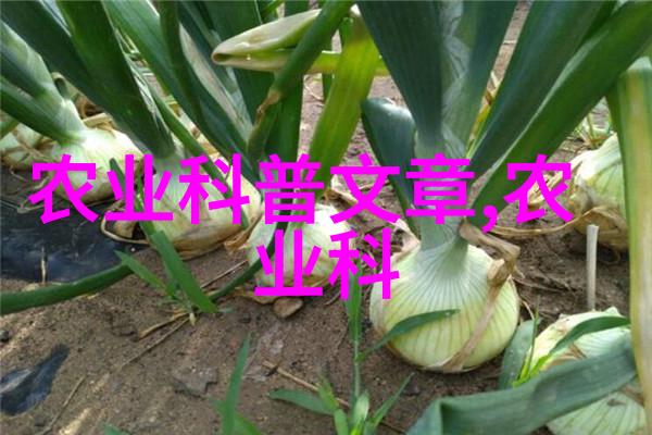 牛羊的未来它们将如何适应气候变化