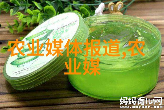 一亩之地百年不变探索其可靠性