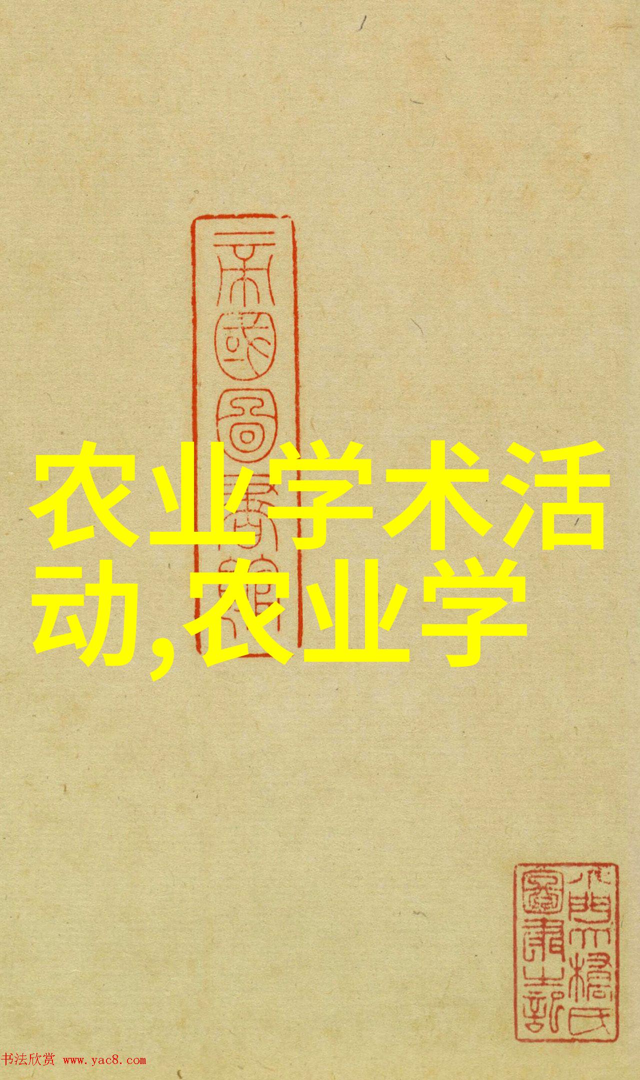 新锐企业寻星计划揭秘最新职位空缺与招聘策略