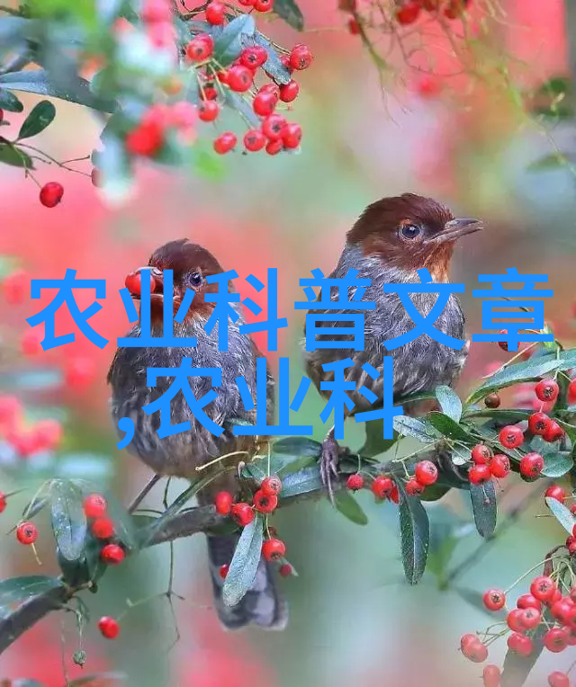 农场现代化转型与科技创新融合项目寻求资本支持
