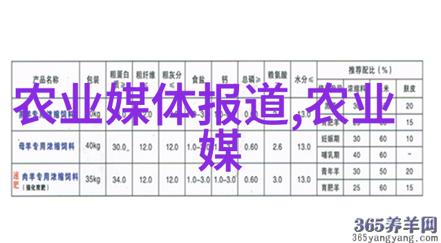 山西阳泉市农机中心究竟是如何对平定县的宜机化建设项目进行绩效考核的呢特别是在玉米秸秆打包机的应用上它