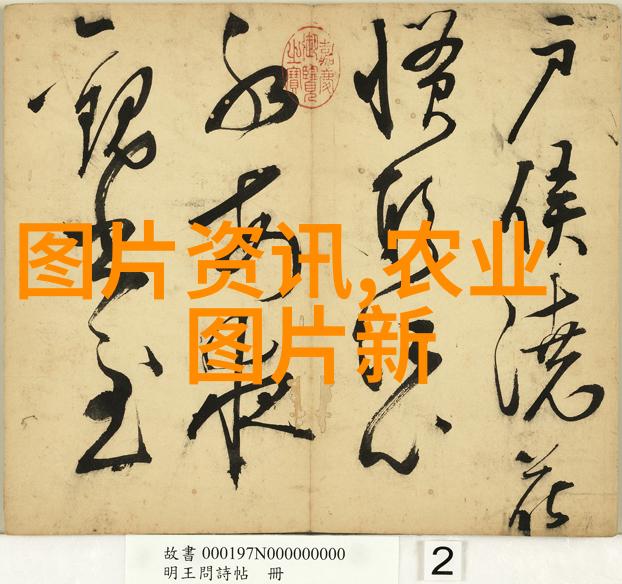 茶的起源从中国古代到世界普及的奇迹