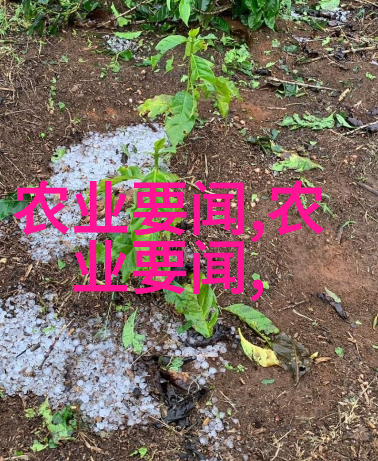 羊群的智慧牧场上的养育艺术