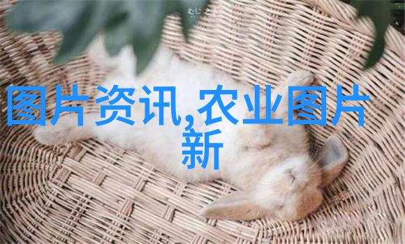 探索休闲农业体验田园生活的多元魅力
