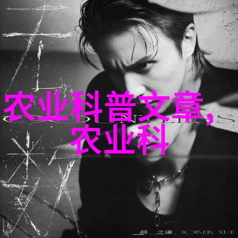 冬日的守望者探索室外耐寒花卉的魅力
