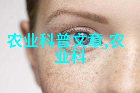 杨思敏版金梅瓶1一5集下载中文动漫剧集完整版
