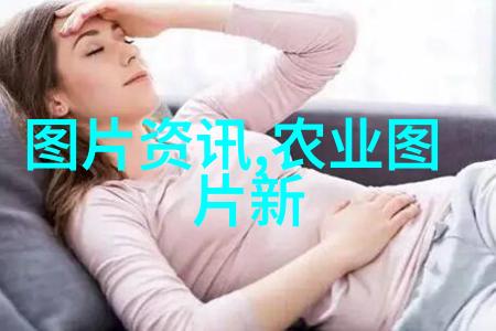 粮油作物百科从麦子到油条开启你的食材探险之旅