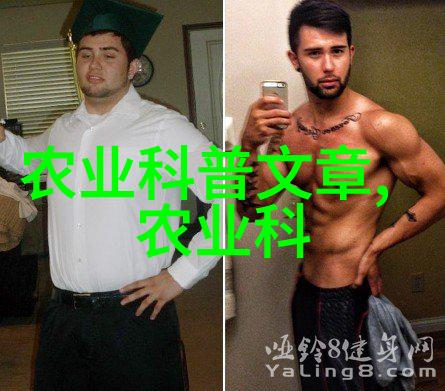 家庭花卉盆栽温馨家园的自然装饰