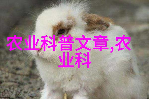 茶香满园探秘中国古典茶叶的魅力