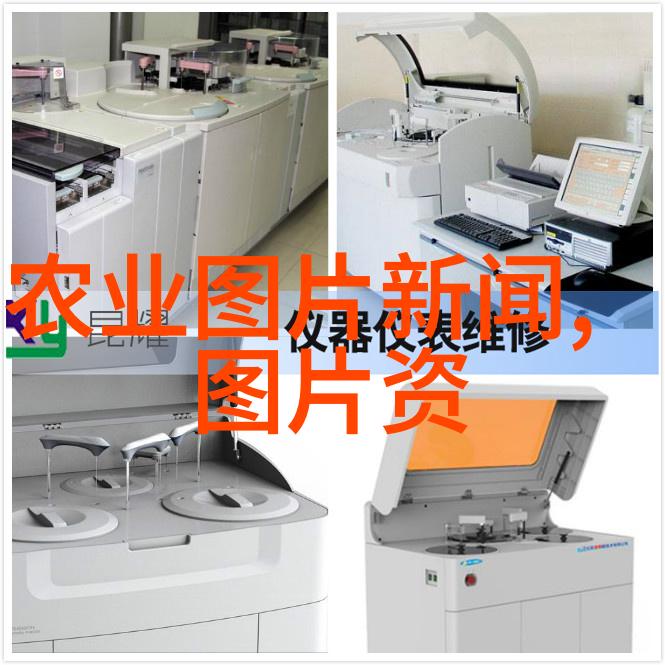 主题我看了那些带种子的水果图片真心眼红