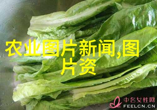 水产专业学什么咱们来看看