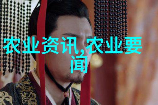 政策之门法规试题背后的谜团