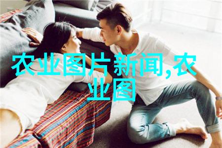 多肉植物探秘1000种奇妙之美的图鉴征服者