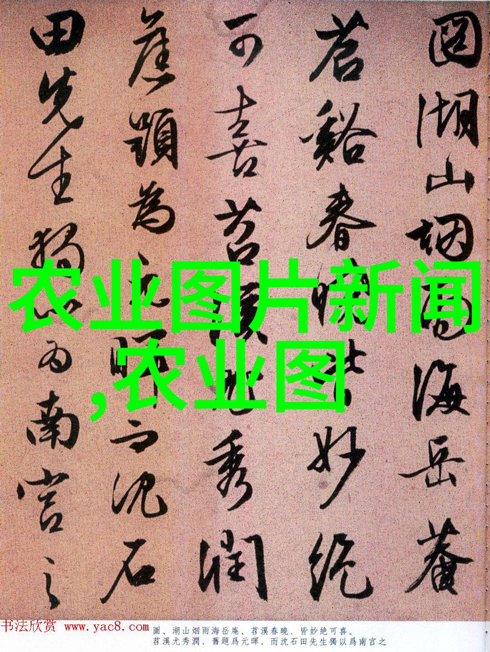 中药材价格变动趋势探究2022年市场走向分析
