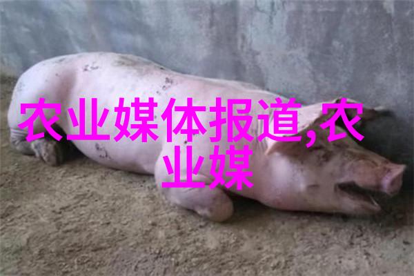 种什么水果生长快又好吃俺这就给你倒出一碗浓汤我怎么种水果让它们生长得又快又美味